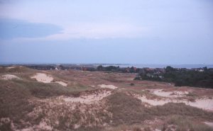 Auf der Aussichtsd�ne